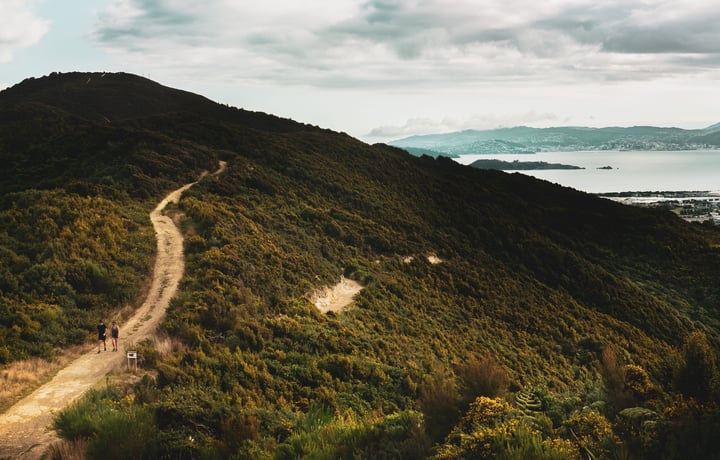 People biking on a trail in native bush.