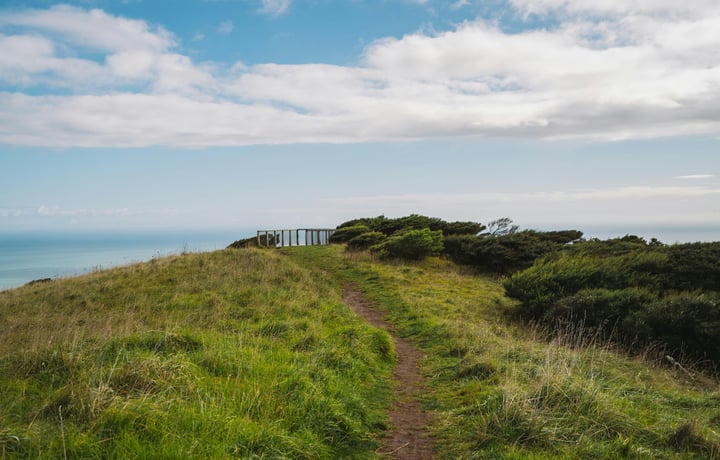 Lush and green Te Toto Gorge Lookout in Raglan New Zealand