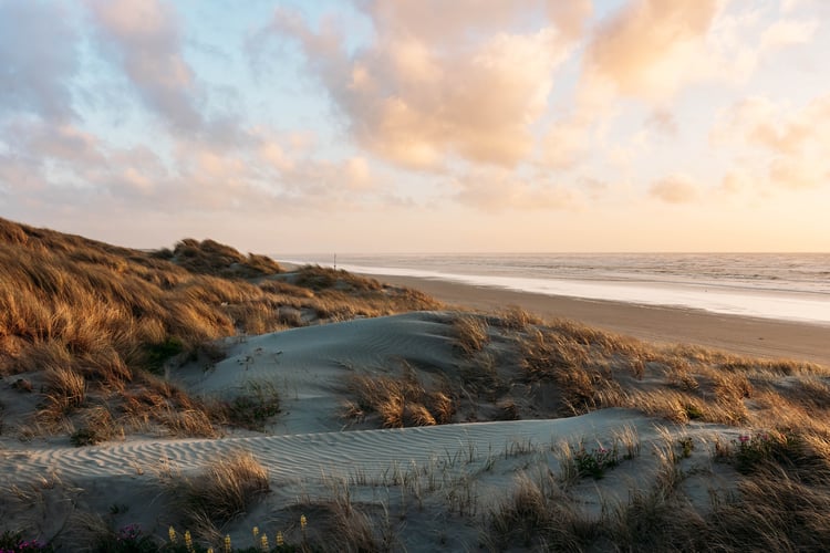 Sand dunes, sandy beach and waves in the ocean at Foxton Beach.