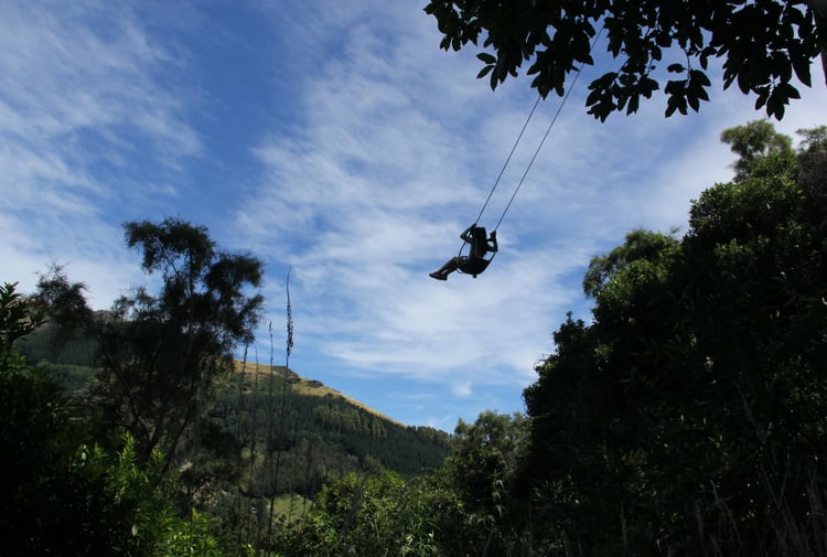 A person swinging on a swing over a forested gorge.