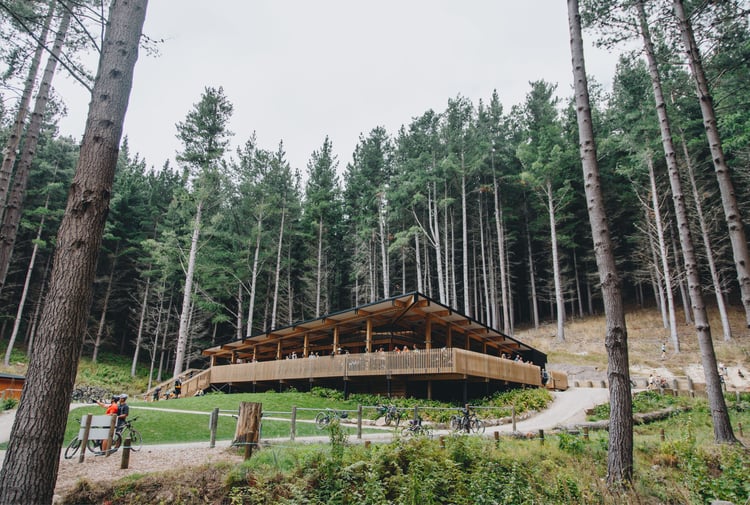 A wooden building nestled amongst tall pine trees.