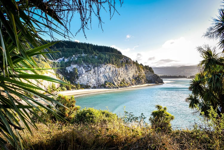 Canoe Beach in Dunedin on a sunny day.