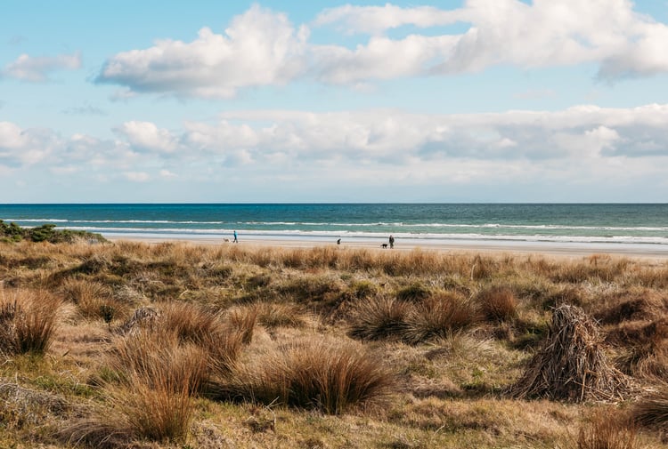 People on the sand beside the water at Paraparaumu Beach.
