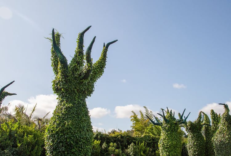 Surrealist gardens at Hamilton Gardens.