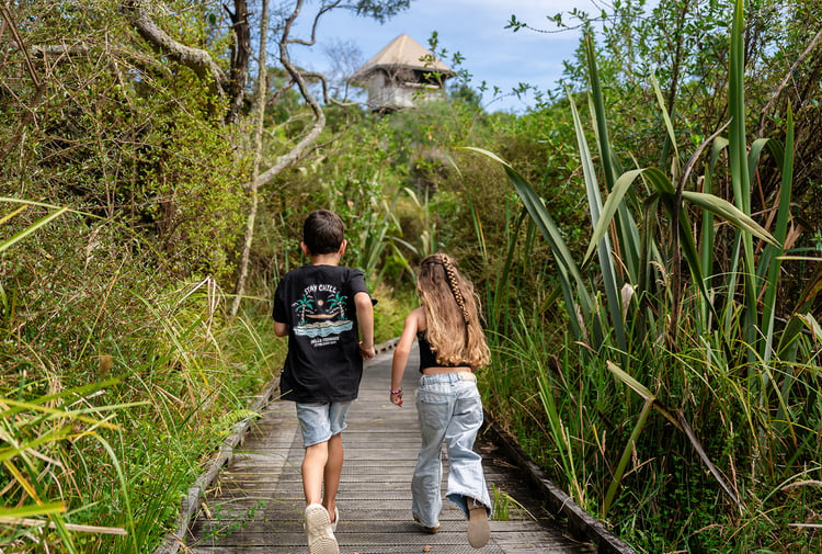 Two children running on the boardwalk in and amongst native bush.