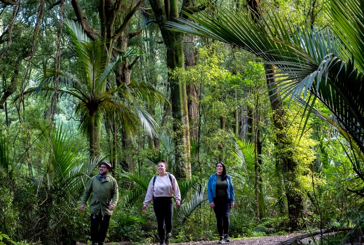 Group of three walking through the forest.