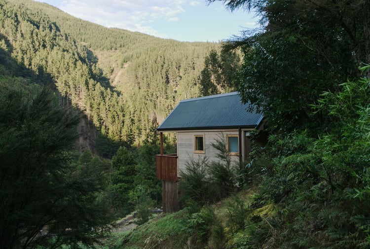 A view of Maitai Whare Iti cabins nestled within native bush in Nelson.