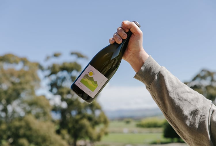 A hand holding a bottle of wine in the air on a sunny day.