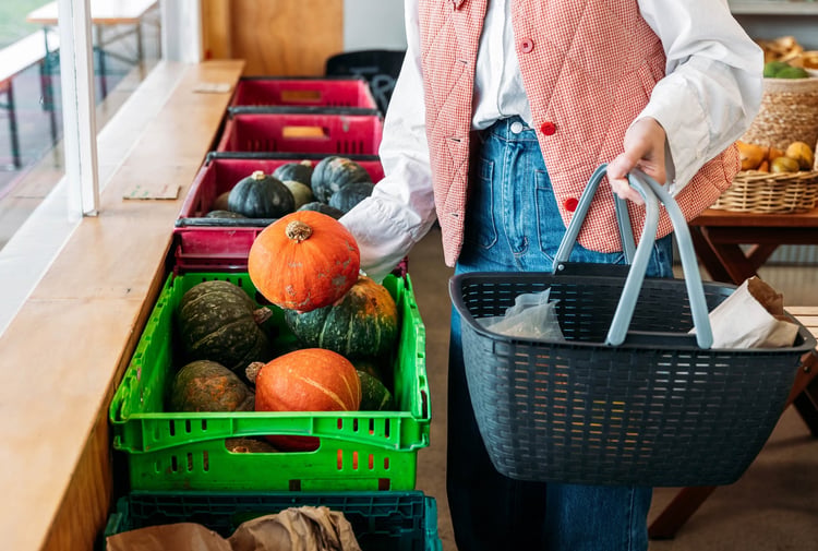 A person holding a shopping basket picks an orange pumpkin out of a plastic crate.