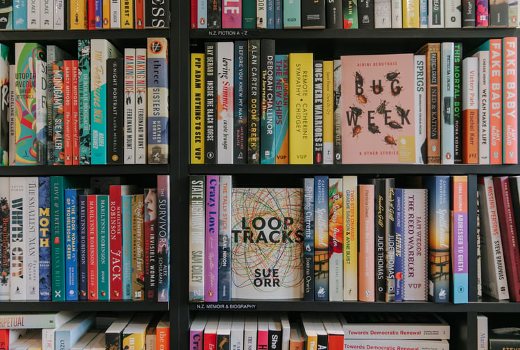 Bookcase jam packed with books at The Last Chapter, Wānaka.