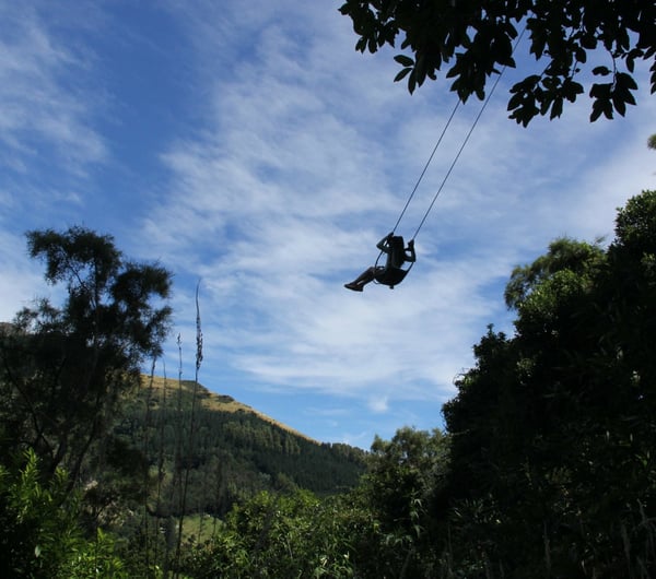 A person swinging on a swing over a forested gorge.