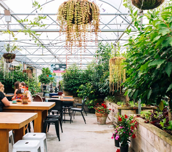 Wooden tables and hanging pot plants.