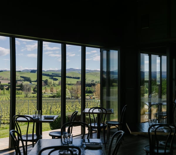 View out of window at Black Estate, North Canterbury towards vines.