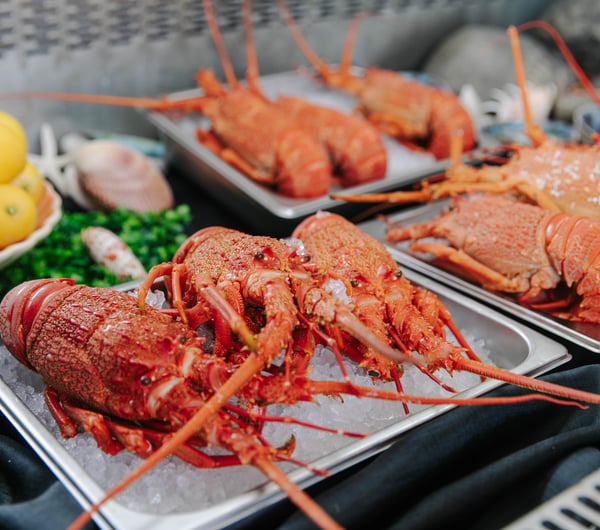 Lobsters on display in the fridge at Karaka Lobster.