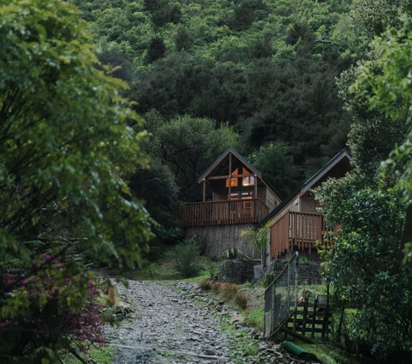 The wooden cabin set amongst bush.