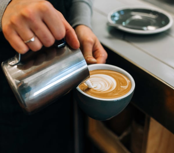 Pouring steamed milk into coffee cup at Ozone Coffee Roasters, New Plymouth.