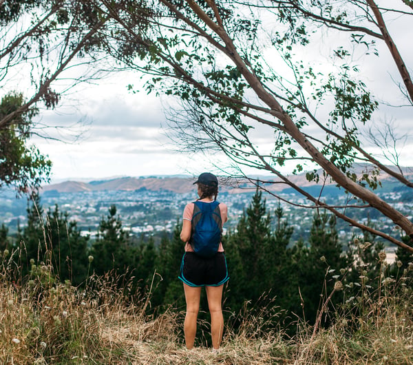 The view from the top of Rangituhi.