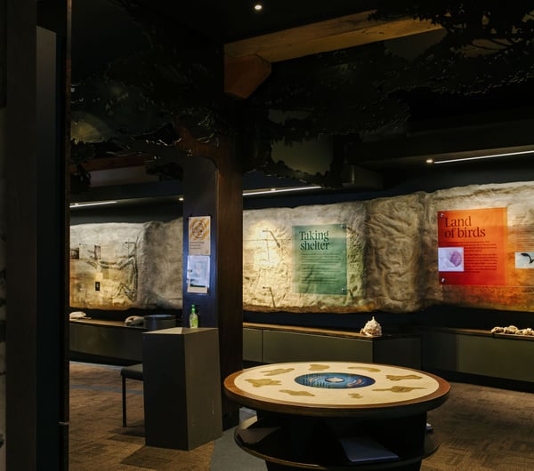 Wide angle of Te Ana Maori Rock Art Centre, Timaru.