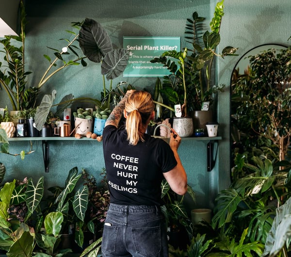 Person watering plants at The Elephant Ear in Petone