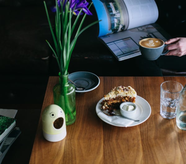 Cake and coffee on a table.
