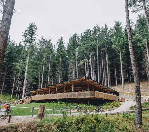 A wooden building nestled amongst tall pine trees.