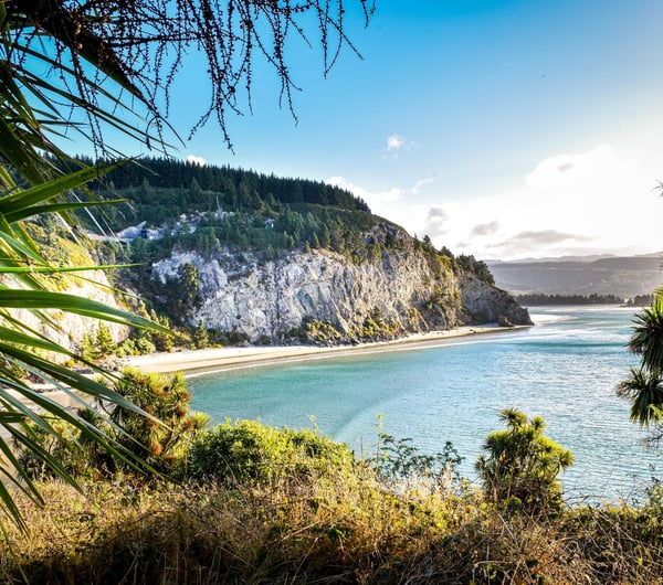 Canoe Beach in Dunedin on a sunny day.