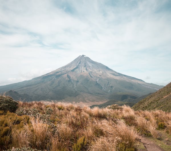 The mountains of Taranaki surrounded by New Zealand native plants.