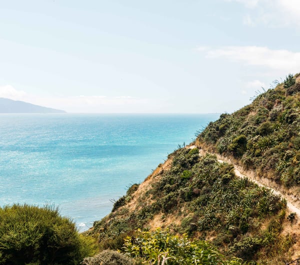 The ocean view along Kāpiti Coast.