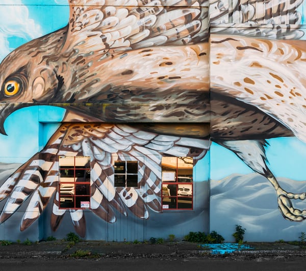 A large falcon mural painted on a wall.