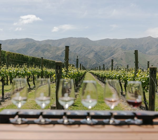 Wine glass paddle at River-T Estate Wines with a view of the vines.