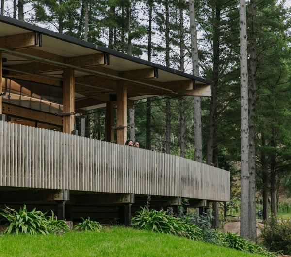 A big wooden building in the forest at Christchurch adventure park.
