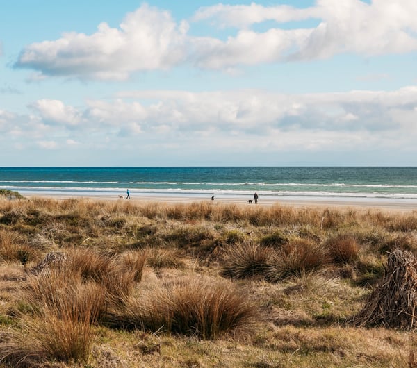 People on the sand beside the water at Paraparaumu Beach.