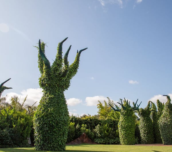 Surrealist gardens at Hamilton Gardens.