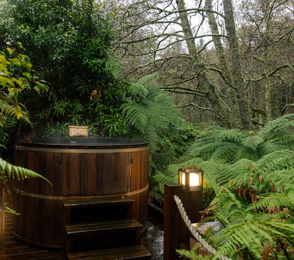Wooden hot tub with the forest in the background.