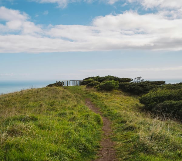 Lush and green Te Toto Gorge Lookout in Raglan New Zealand