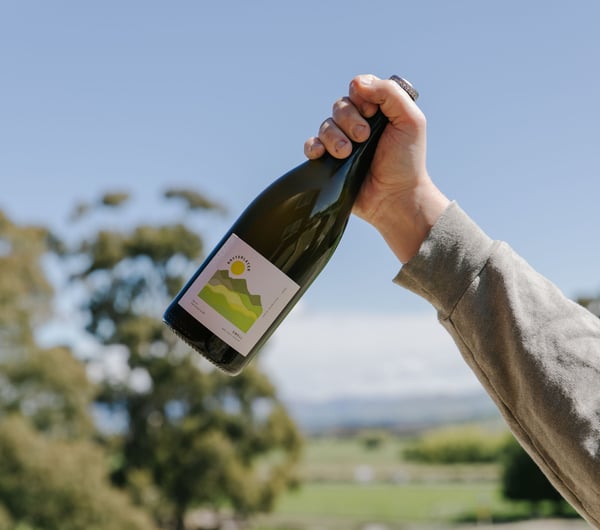 A hand holding a bottle of wine in the air on a sunny day.
