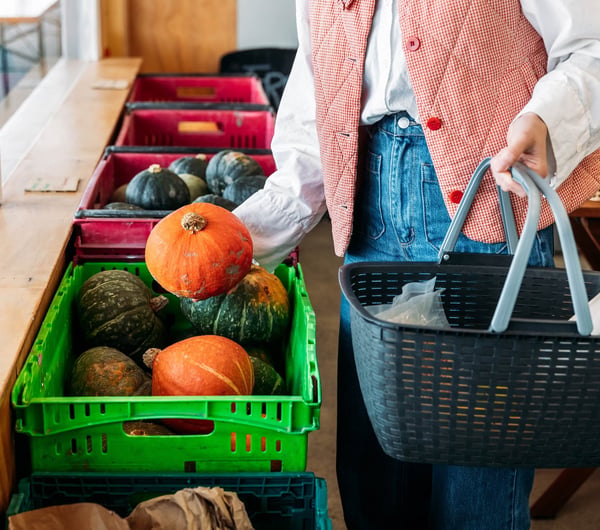A person holding a shopping basket picks an orange pumpkin out of a plastic crate.