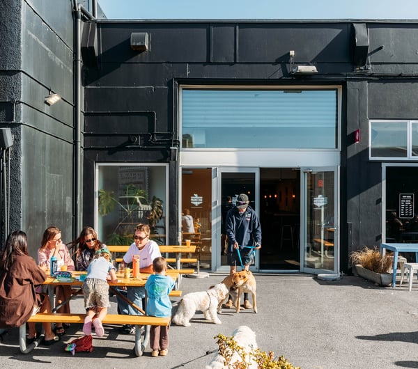 People and dogs hanging out outside a pub on a sunny day.