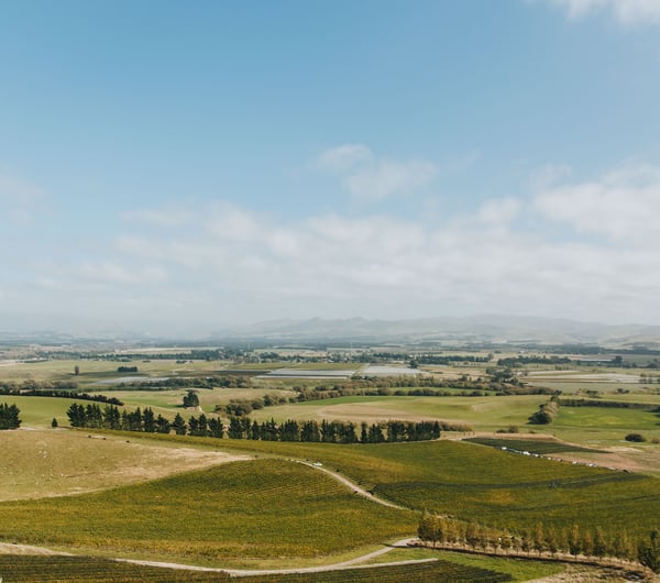 A view of the Canterbury plains on a sunny day.