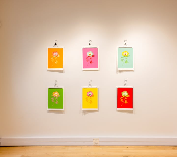 Six painted flowers on a wall.