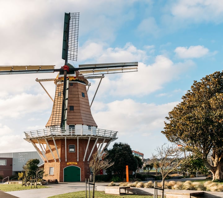 The windmill of De Molen next to a large tree.