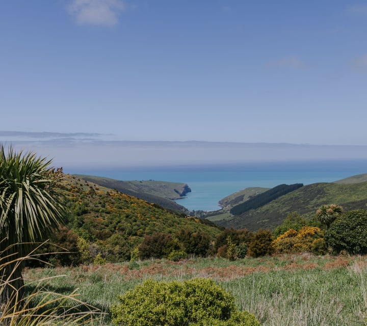 A view of the ocean from the Banks Peninsula.