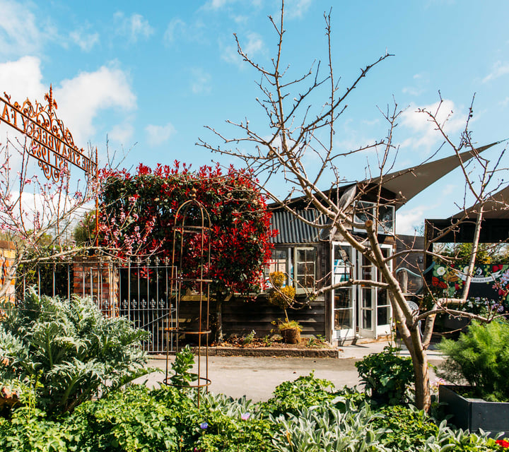 The outside of Punnet Eatery surrounded by big green bushes.