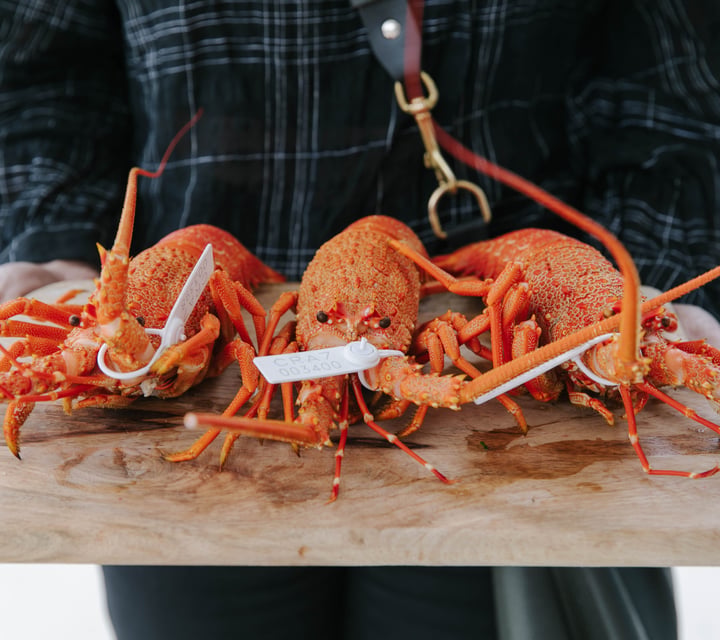 Wooden board with three cooked lobster on top at the FishWife in Moeraki.