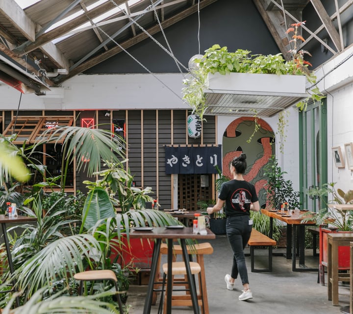 Looking across The Welder courtyard with big Palm plants.