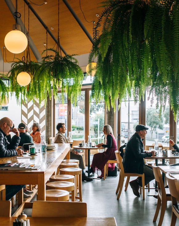 A group of customers dining at tables inside Monica's Eatery with green plants dangling overhead.