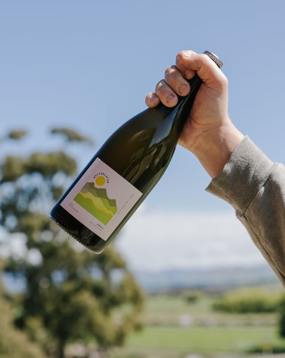 A hand holding a bottle of wine in the air on a sunny day.