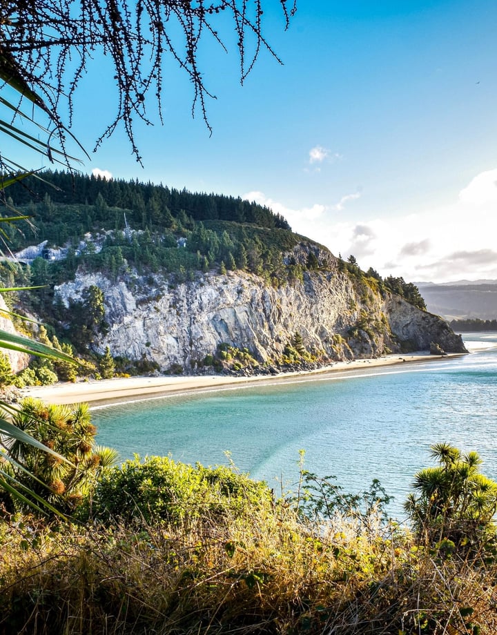 Canoe Beach in Dunedin on a sunny day.