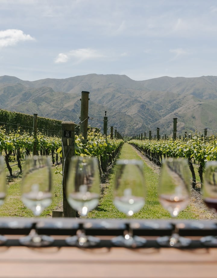 Wine glass paddle at River-T Estate Wines with a view of the vines.