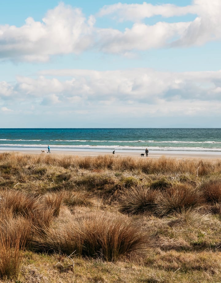 People on the sand beside the water at Paraparaumu Beach.
